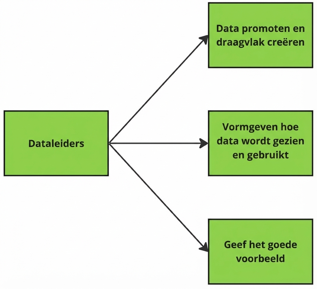 Diagram met taken van dataleiders.