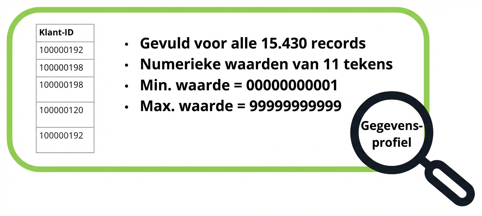 voorbeelden van dataprofielen