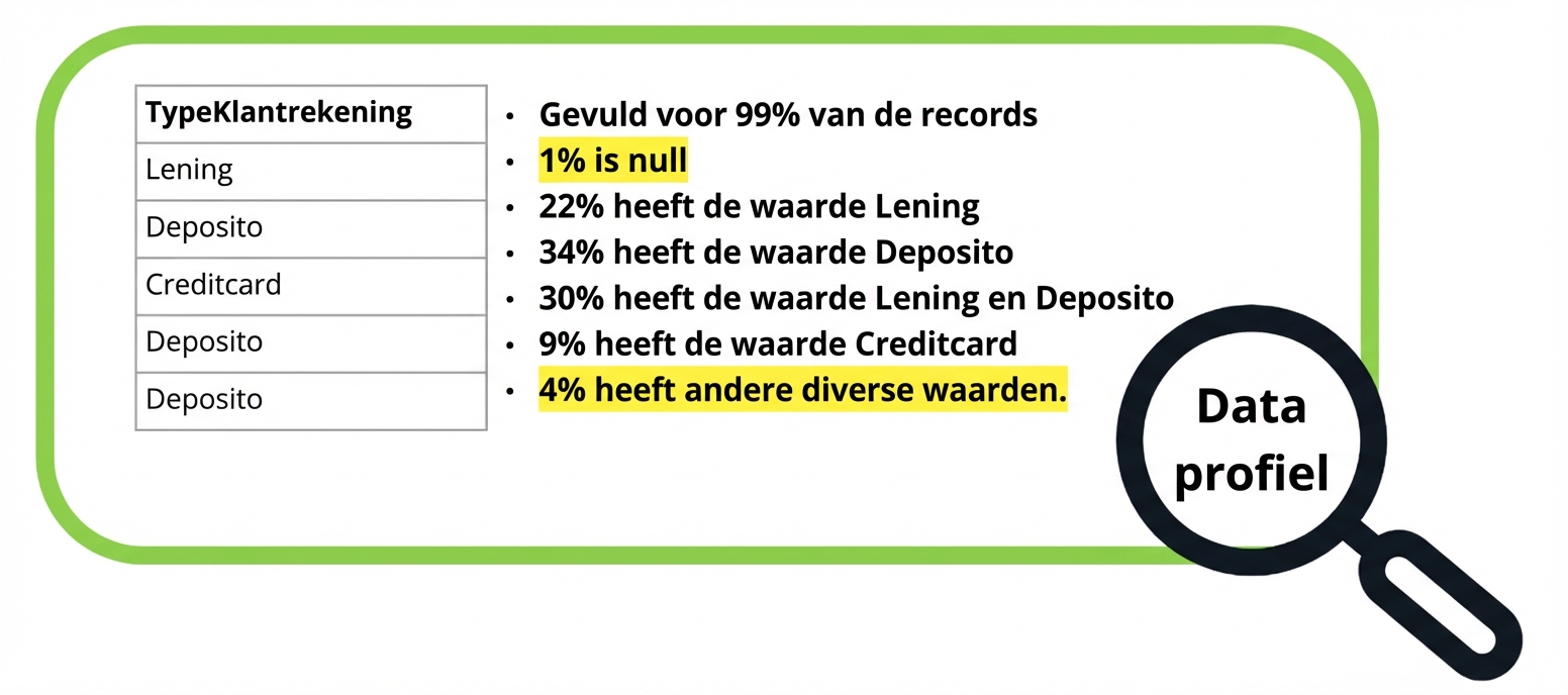 voorbeeld van dataprofiel