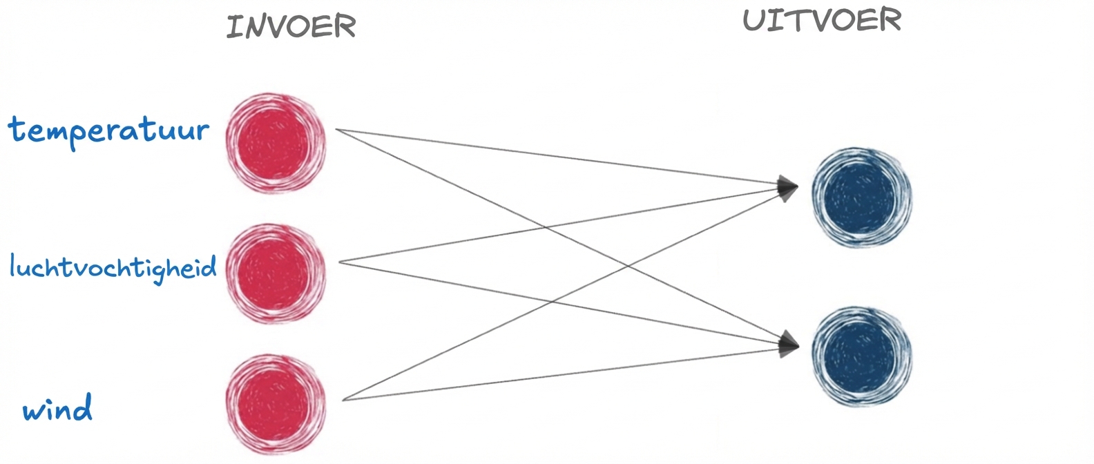 Een schema van een basisnetwerk met alleen input en output