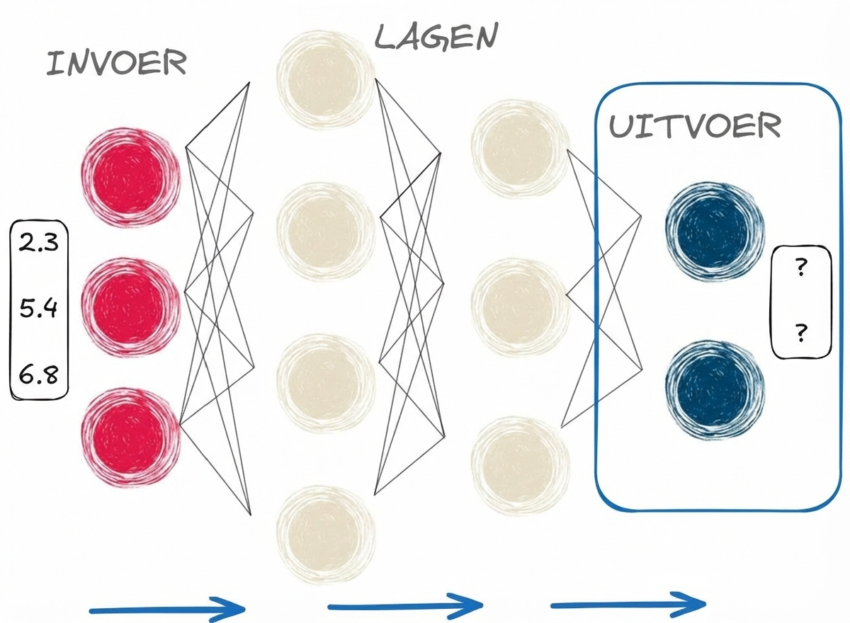 Weergave van forward pass met eindoutput gemarkeerd