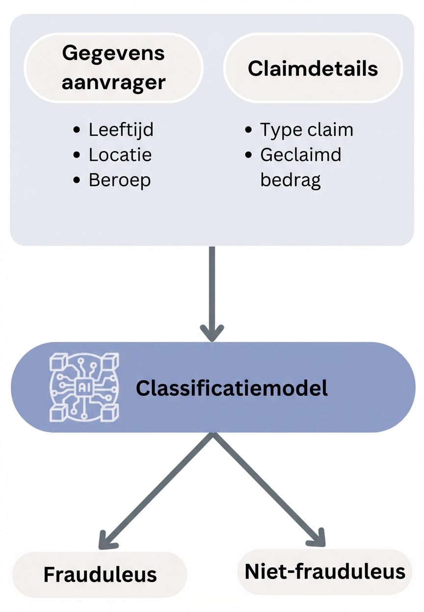 Workflow naar een classificatiemodel
