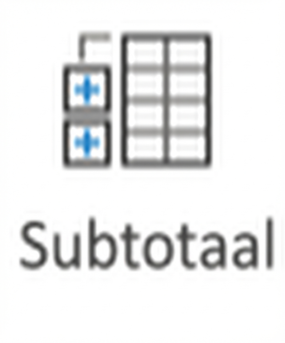 Afbeelding van de knop Subtotaal in Excel.