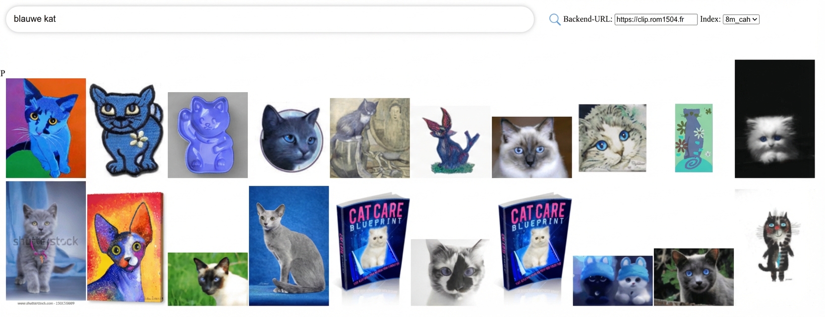 Reeks kattenafbeeldingen uit een grote afbeeldingsdataset.