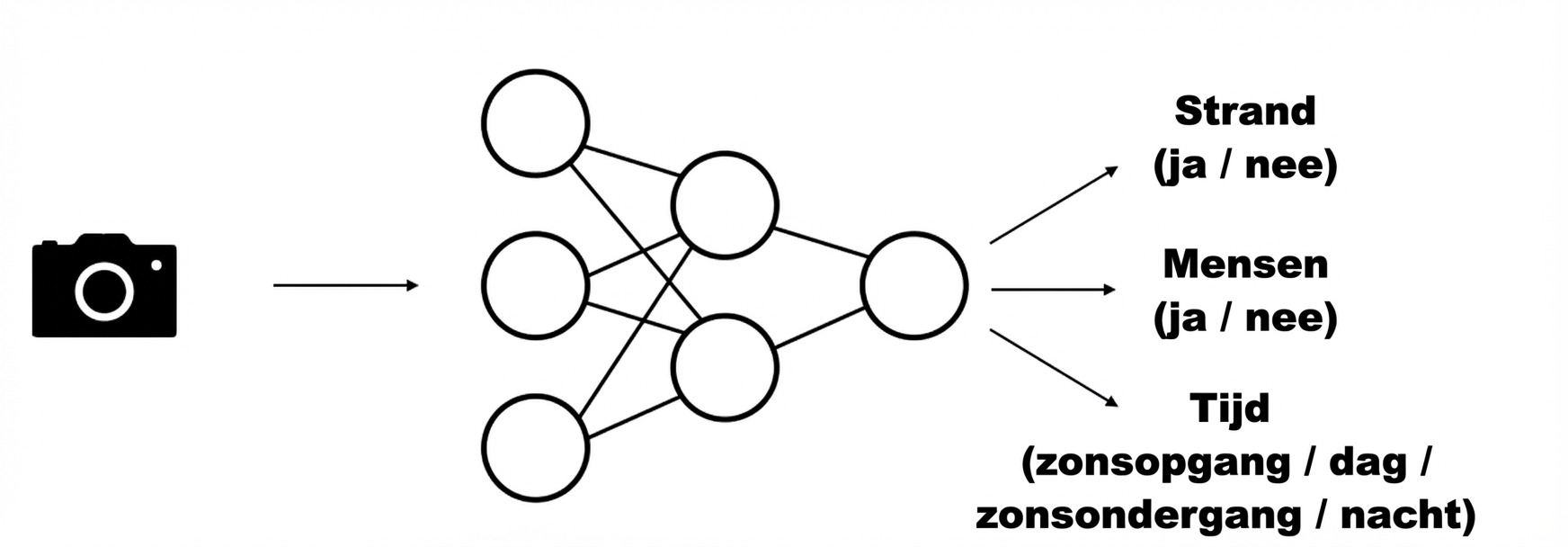 Modelschema: enkele afbeelding als input, meerdere voorspellingen als outputs.