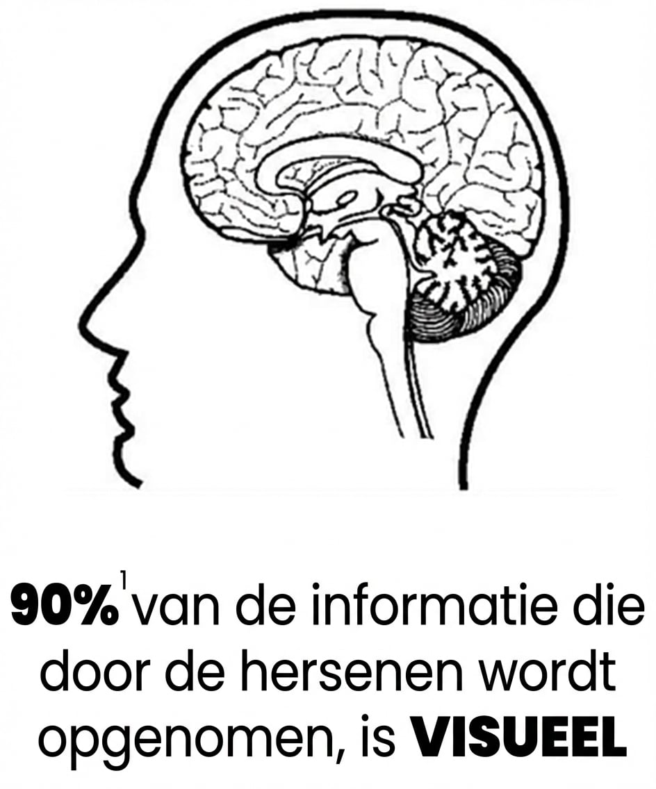 Een afbeelding van een menselijk brein