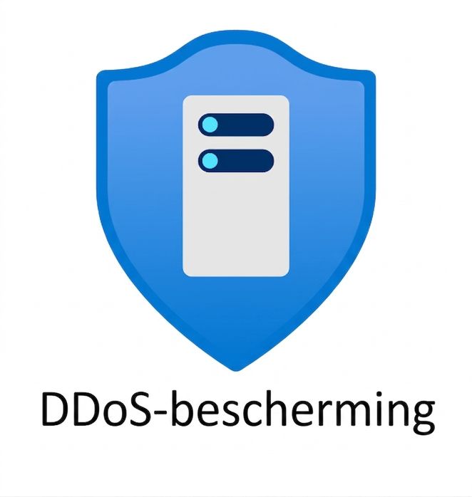 blauw schild met ddos protection eronder