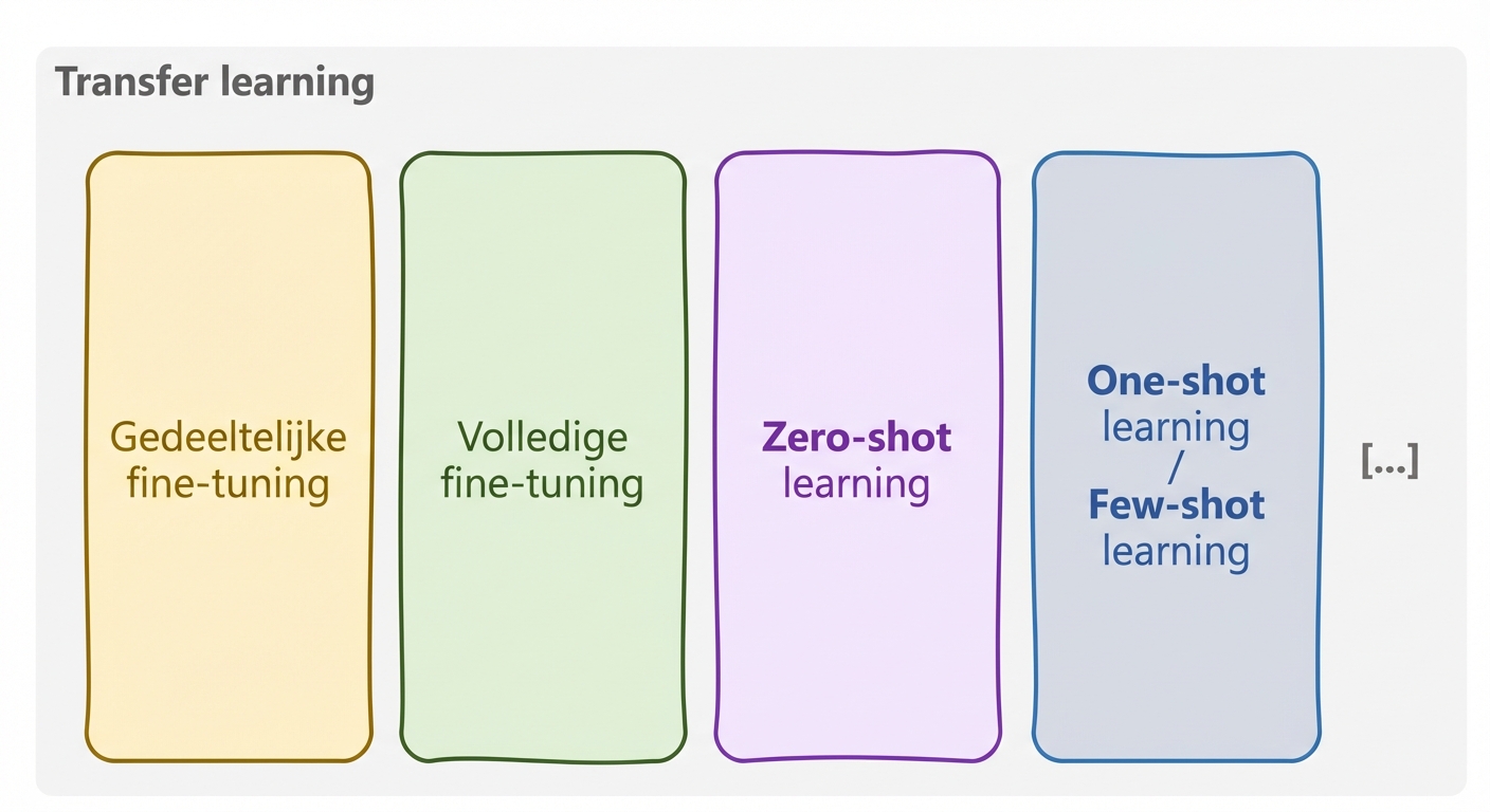 Het transfer learning-paradigma