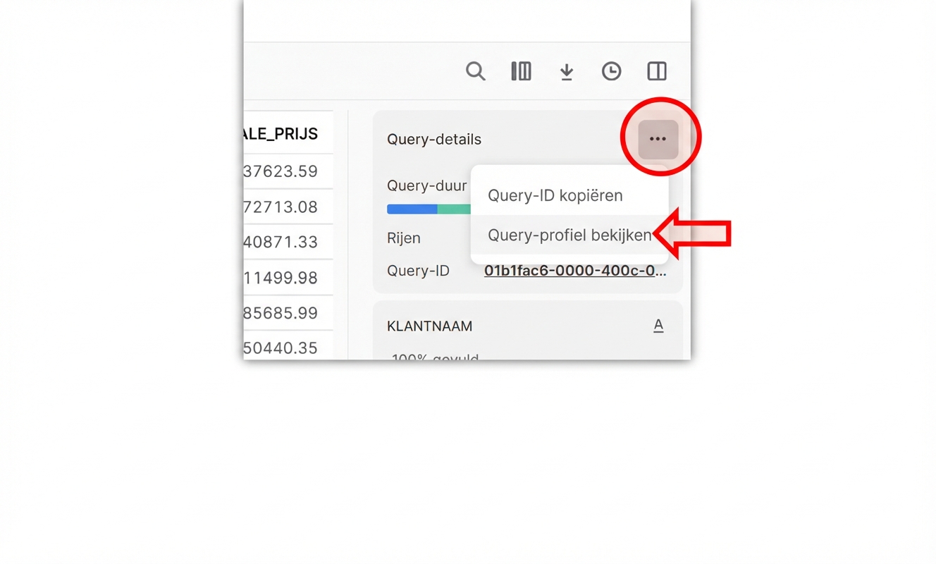 Instructie om het queryprofiel te vinden