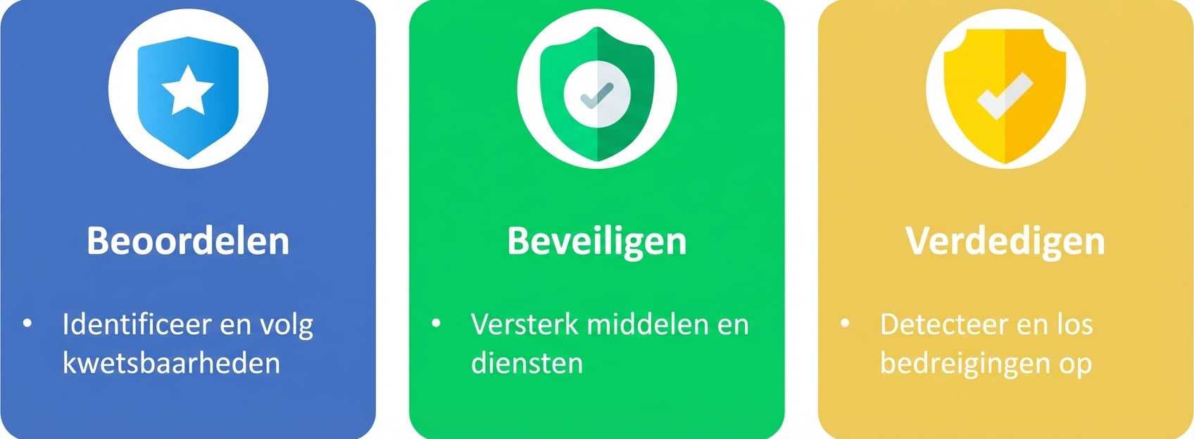 Beoordelen, beveiligen en verdedigen