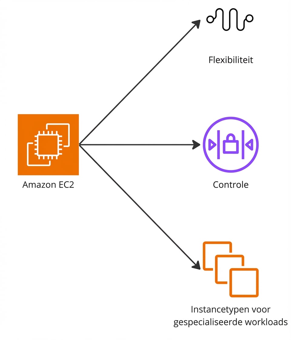 Een vertakt schema met flexibiliteit, controle en speciale EC2-instantietypen.