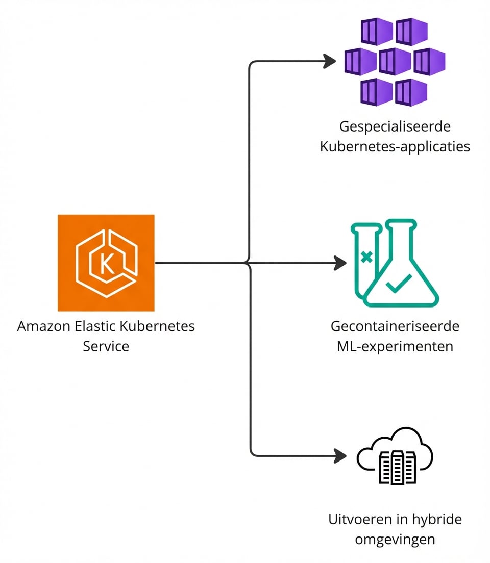 Een vertakt diagram dat EKS-ondersteuning toont voor Kubernetes, machine learning en hybride omgevingen.