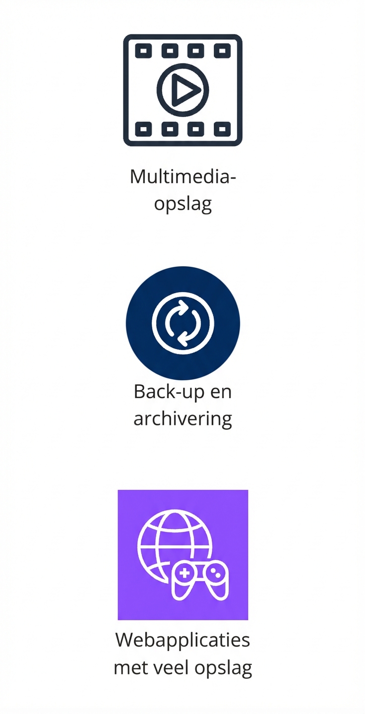 Drie verticale pictogrammen voor multimedia-opslag, back-ups en archieven, en webapps met hoge opslagbehoefte.
