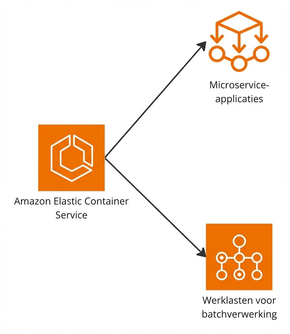 Een vertakt diagram dat ECS-ondersteuning toont voor microservices en batchverwerking.