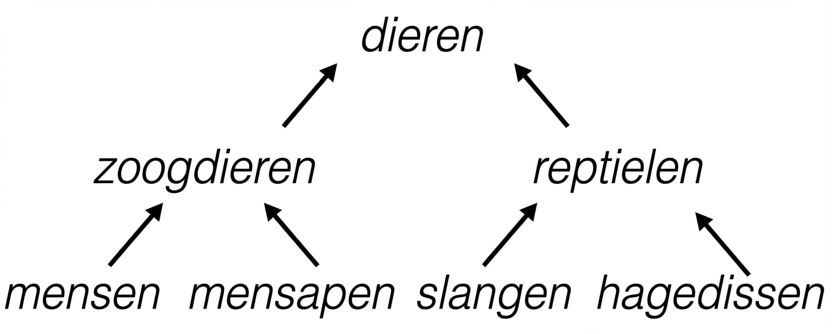 Hiërarchische boom van dieren