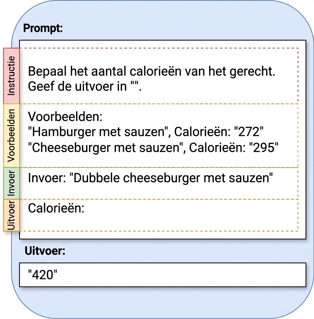 Voorbeeld van een prompt met instructie, voorbeelden, input en output