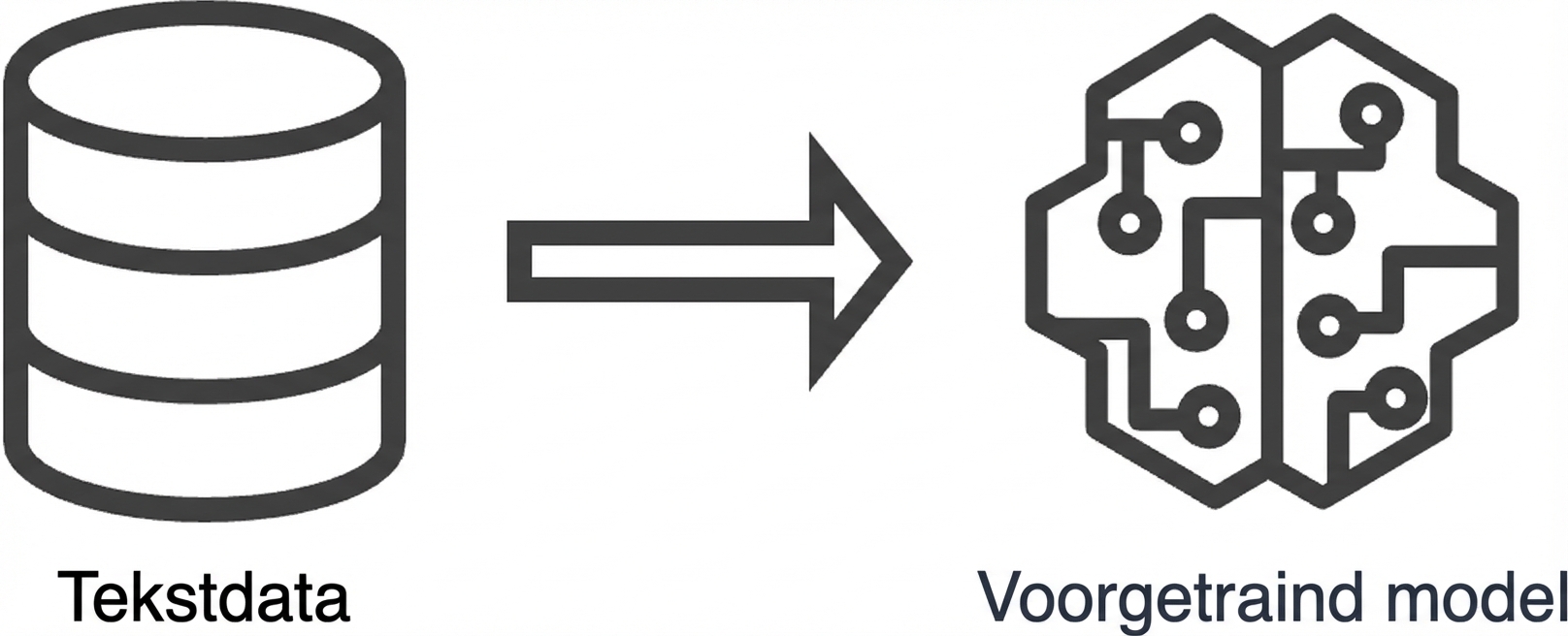 Afbeelding van een voorgetraind model