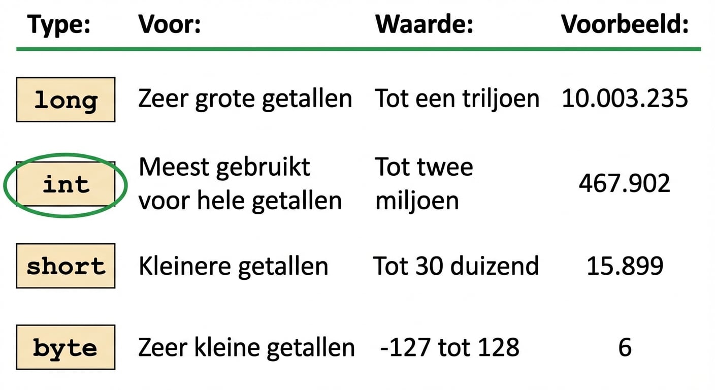 int wordt meestal gebruikt