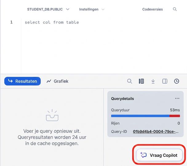 Afbeelding van de knop Ask CoPilot