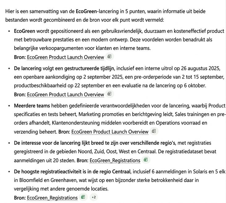 Vijfpunts cross-bestandssamenvatting van Copilot, met per punt de bron (Word-rapport of Excel-bestand)