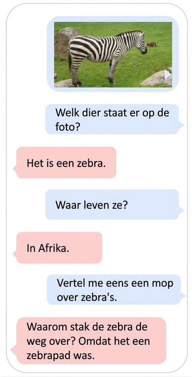 Multimodaal voorbeeld van een LLM met tekst- en beelddata