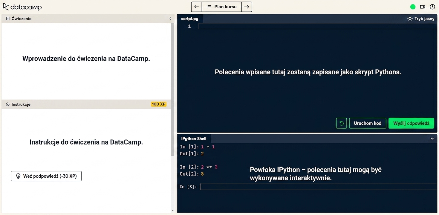Zrzut ekranu DataCamp