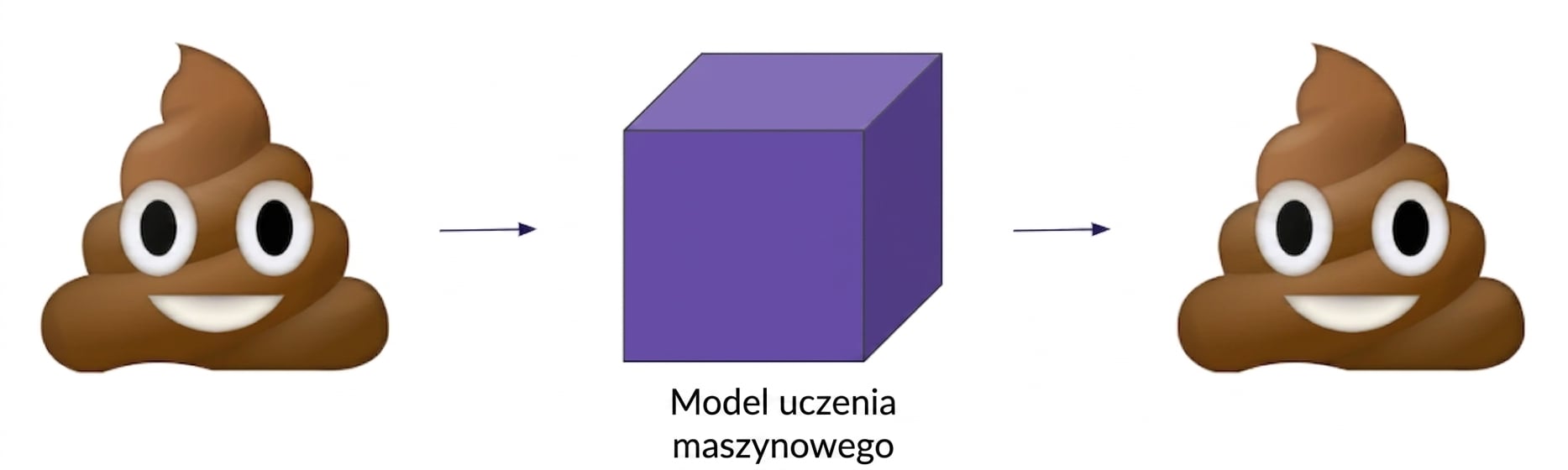 Śmieci na wejściu, śmieci na wyjściu
