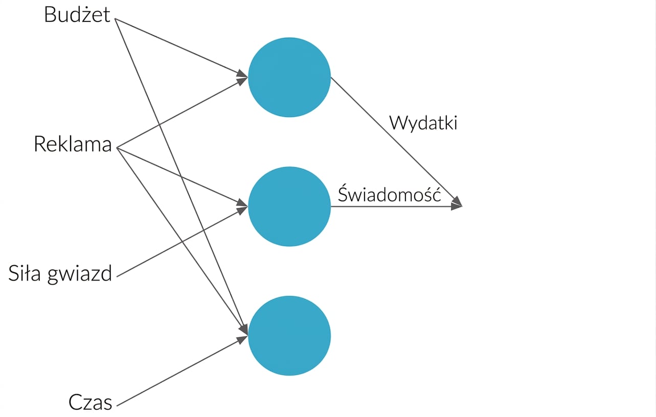 Wyjaśnienie sieci neuronowej