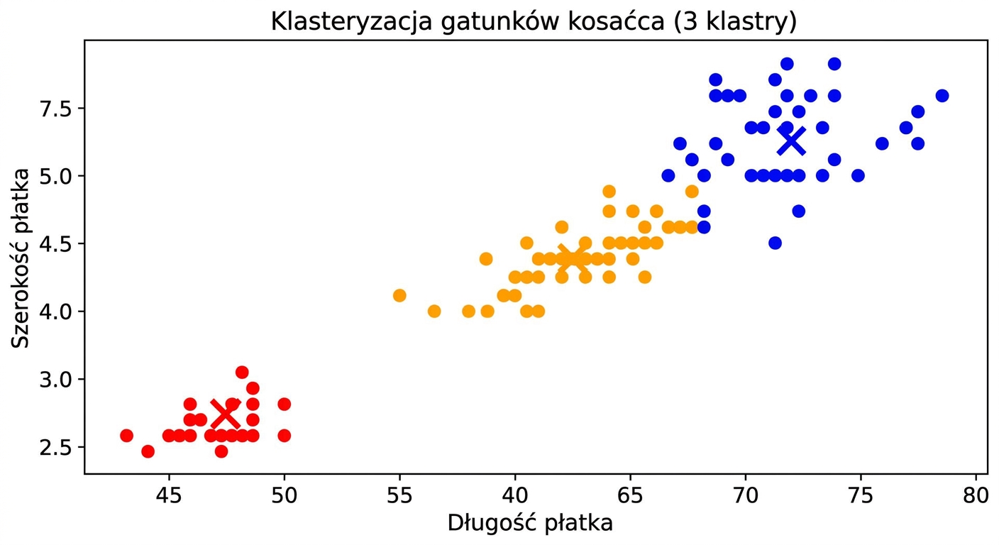 klastrowanie iris trzy klastry