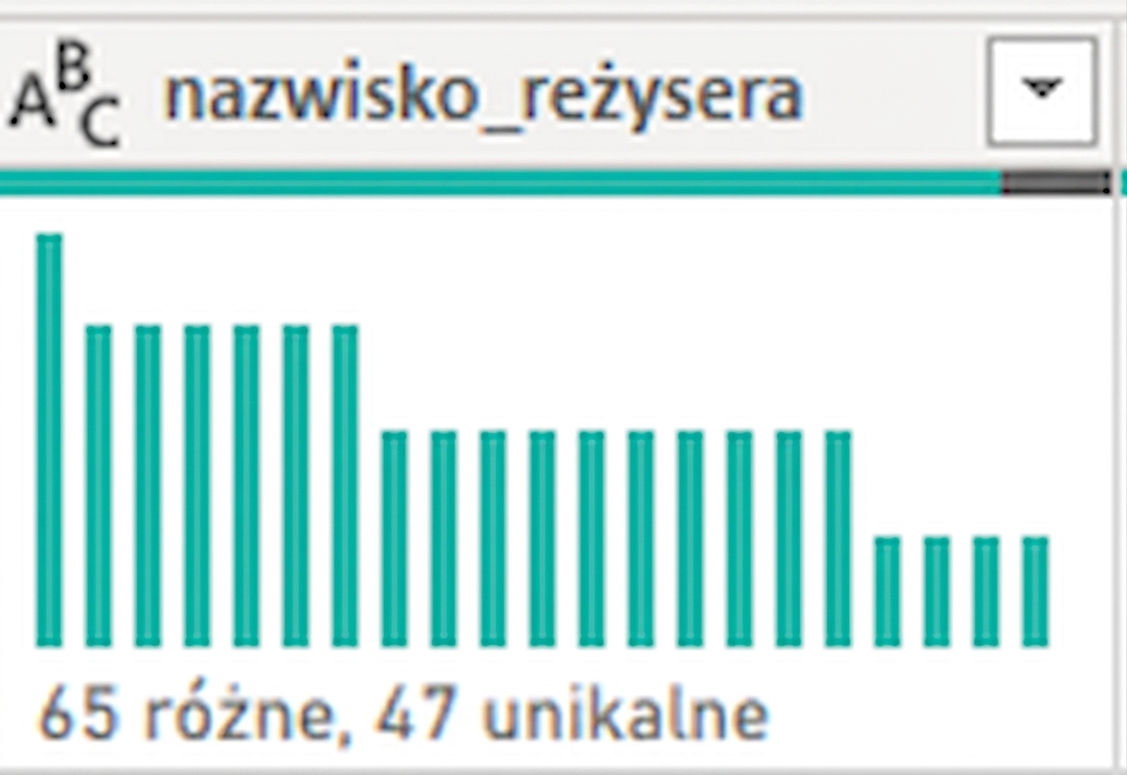 Zrzut ekranu przedstawiający wynik funkcji rozkładu kolumny.