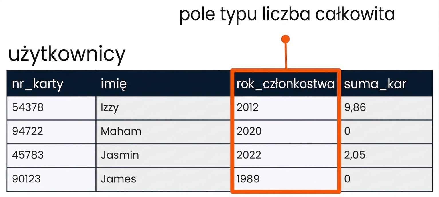 Tabela patrons z wyróżnionym polem member_year jako przykład pola całkowitoliczbowego