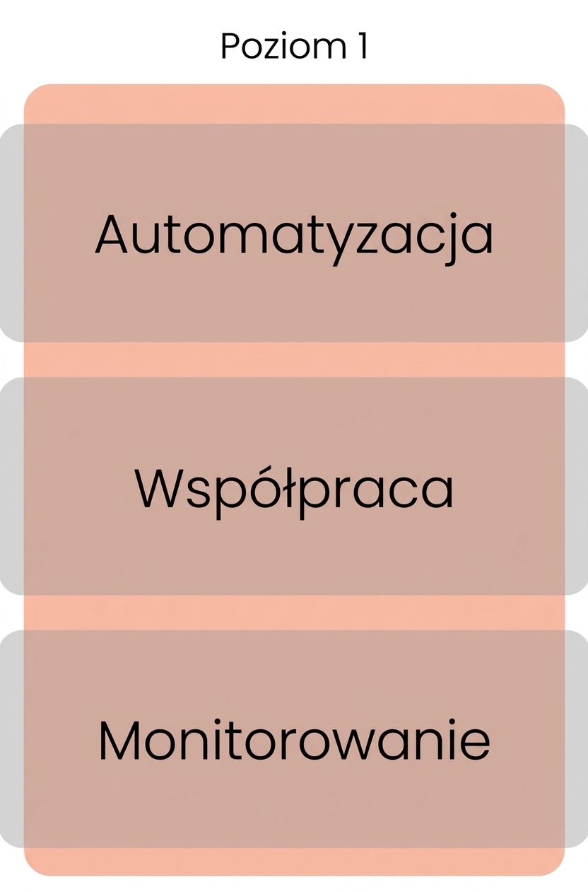 Poziom 1 dojrzałości