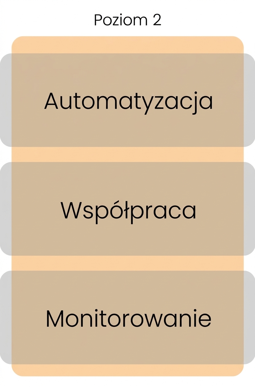 Poziom 2 dojrzałości