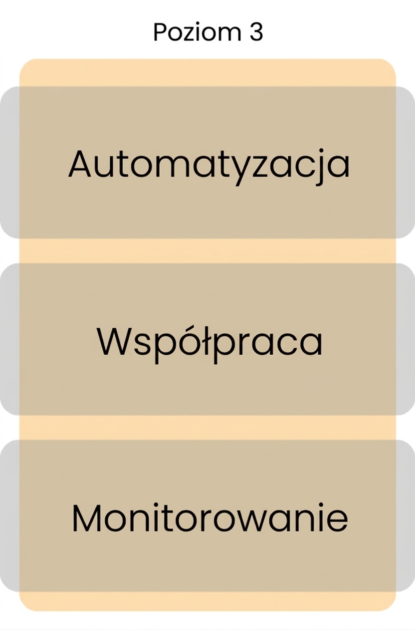 Poziom 3 dojrzałości