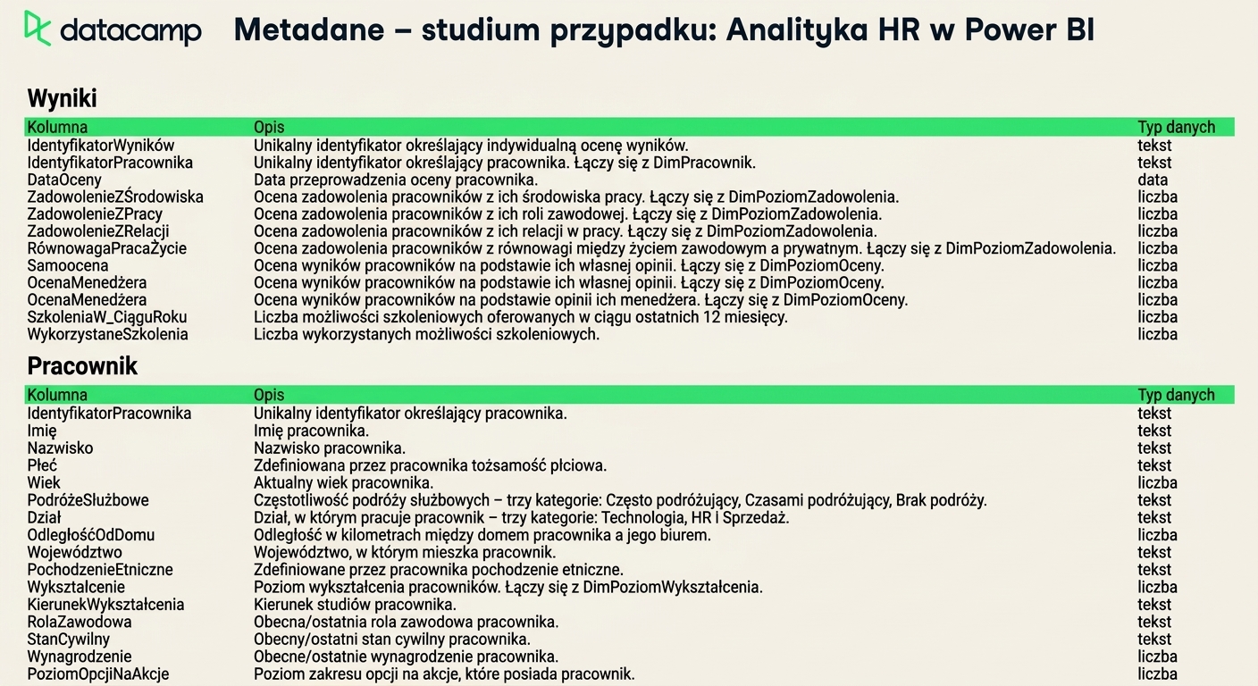Zrzut ekranu arkusza metadanych