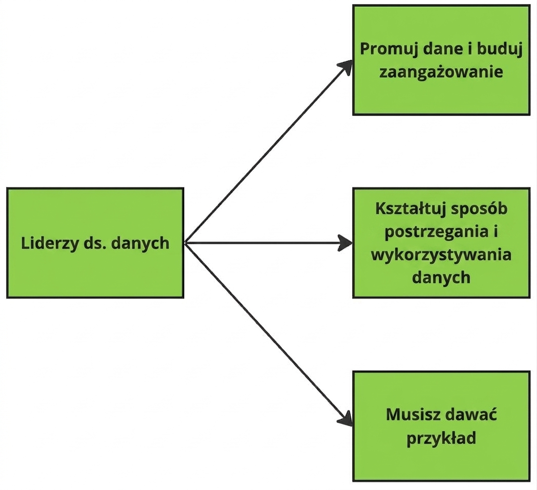 Diagram przedstawiający obowiązki liderów danych.