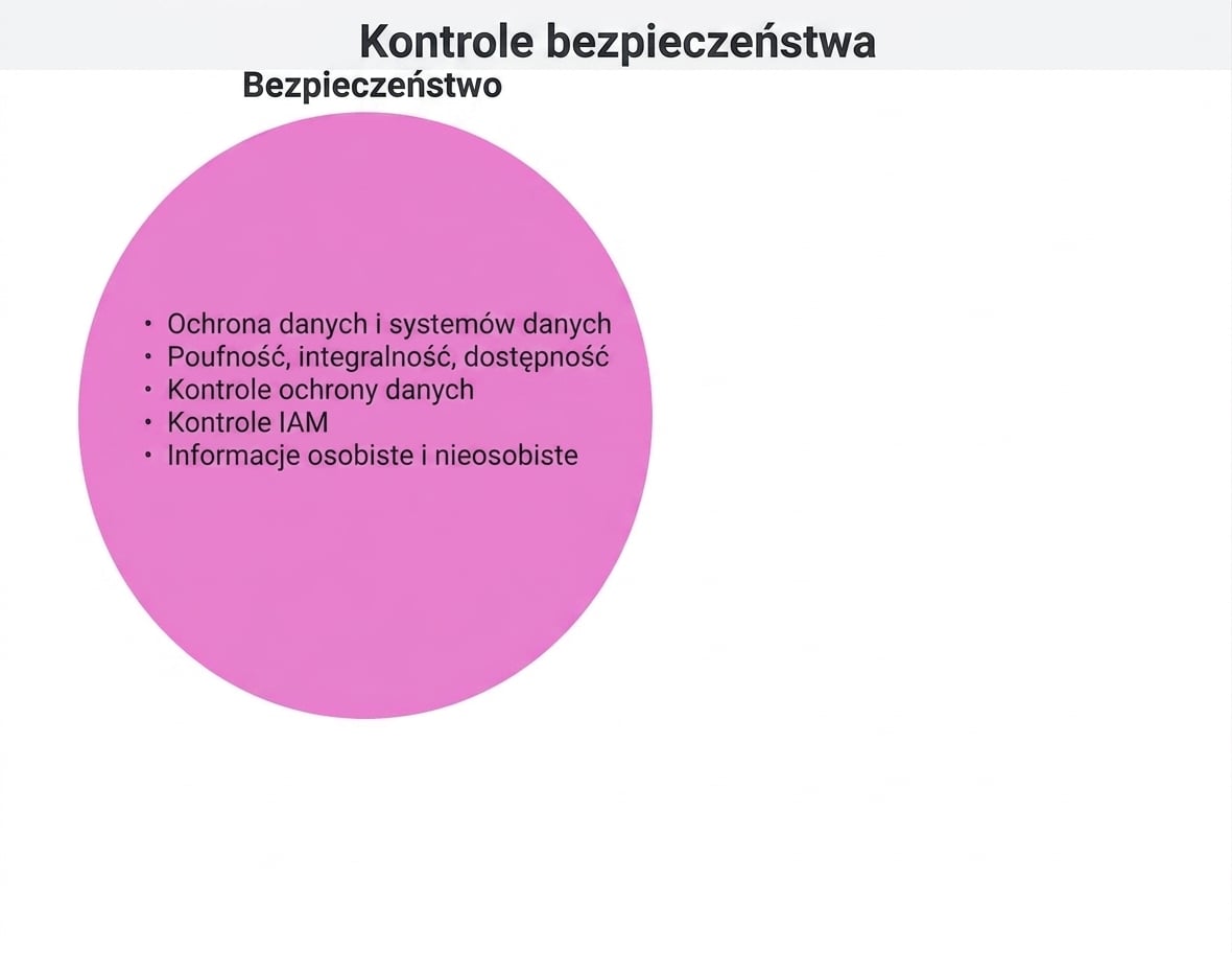 Koło mechanizmów bezpieczeństwa