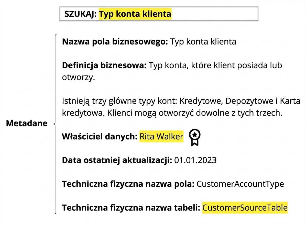 przykład metadanych w katalogu danych