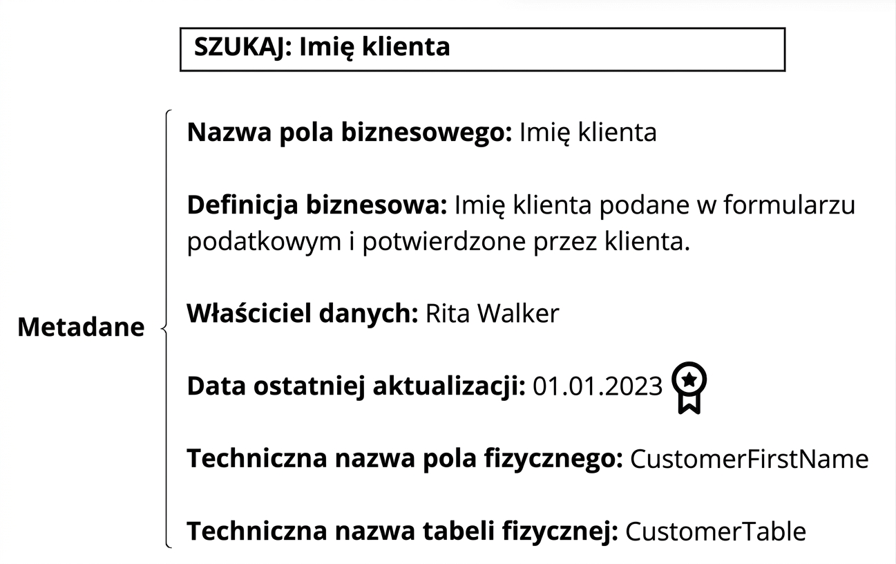 przykład metadanych w katalogu danych