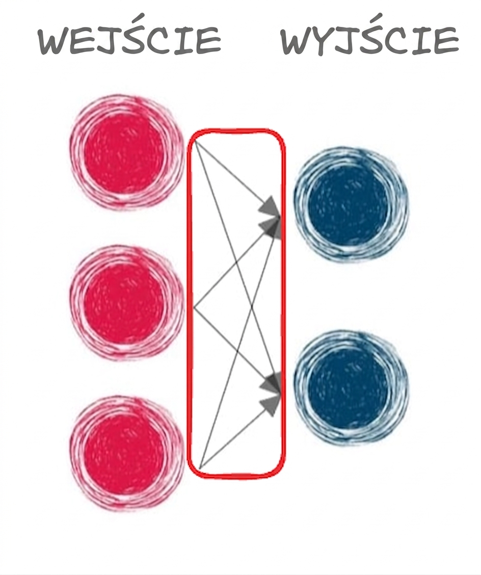 Ilustracja warstwy wejściowej i wyjściowej ze strzałkami łączącymi warstwy