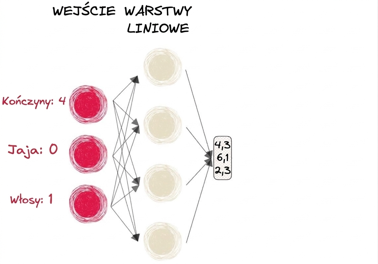Schemat fragmentu sieci neuronowej z wejściami