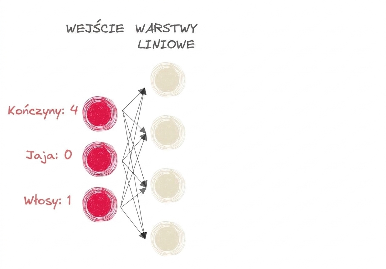 Schemat fragmentu sieci neuronowej z wejściami i warstwami liniowymi