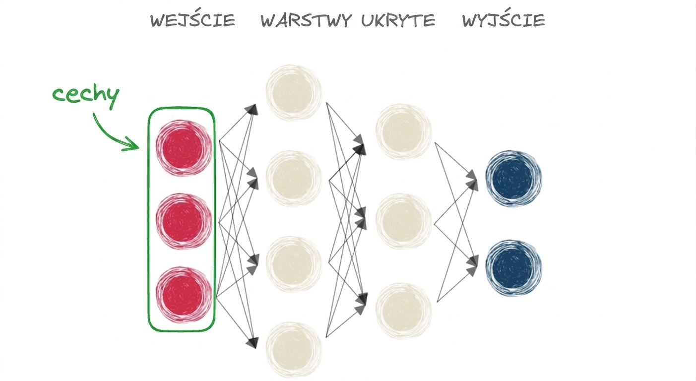 Diagram przedstawiający sieć neuronową z warstwą wejściową, ukrytą i wyjściową