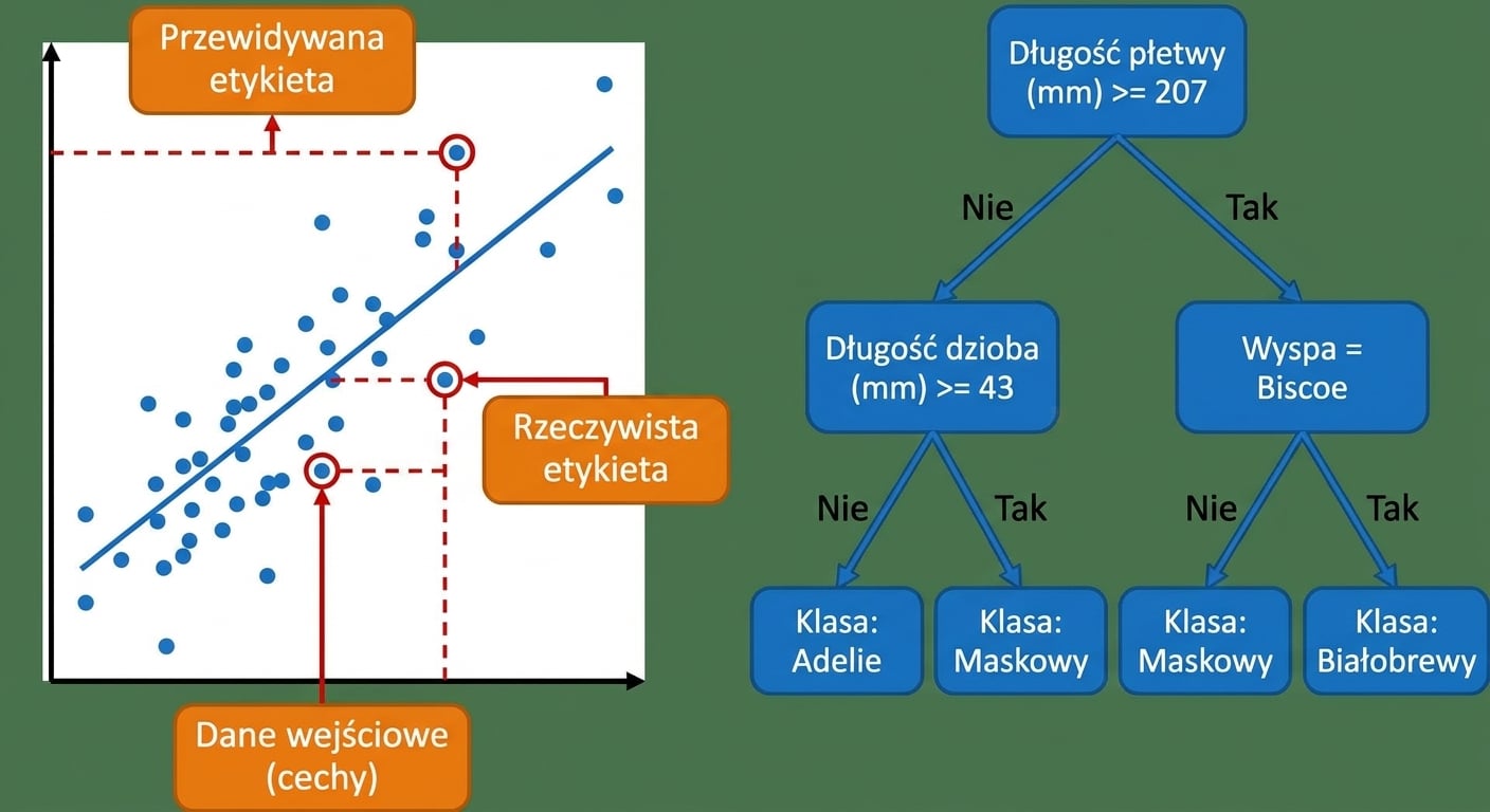 Regresja liniowa i drzewo decyzyjne