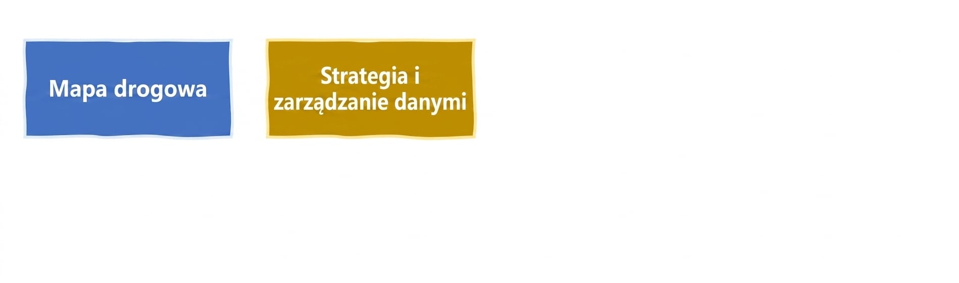 Strategia danych i zarządzanie