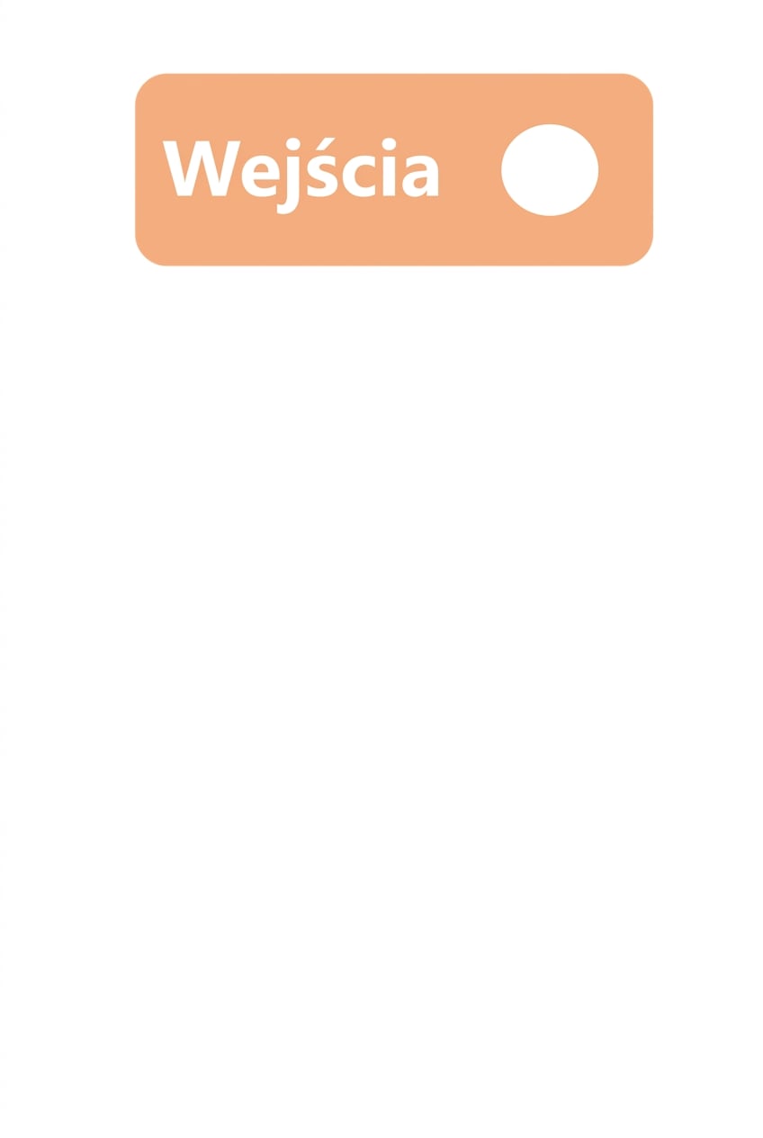 Dane wejściowe