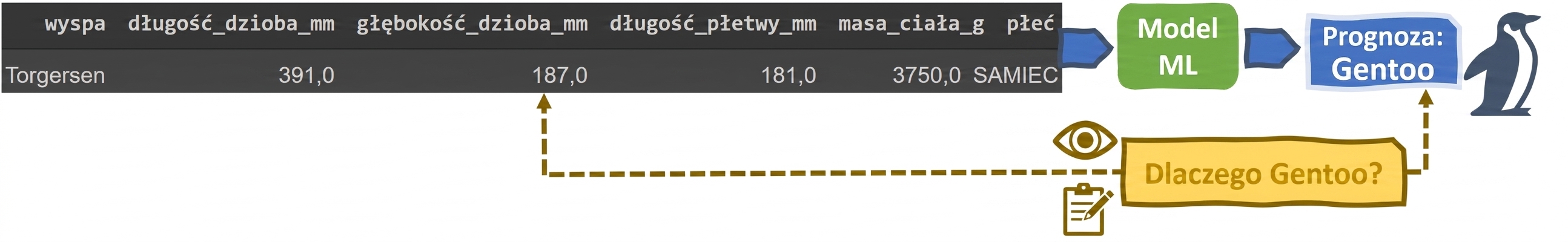 Wyjaśnialność w klasyfikatorze pingwinów ML