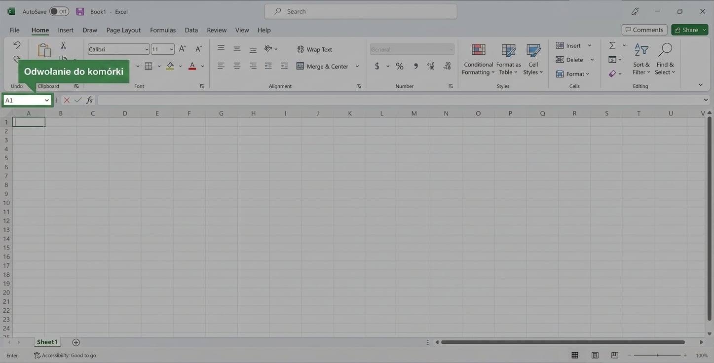 Plik Excel z zaznaczonym adresem komórki