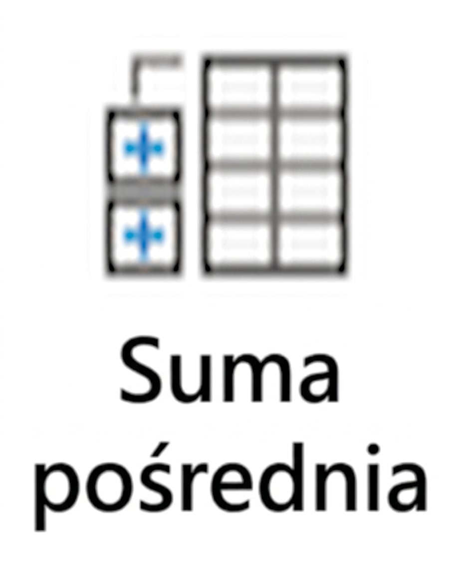 Obraz przycisku Suma częściowa w programie Excel.