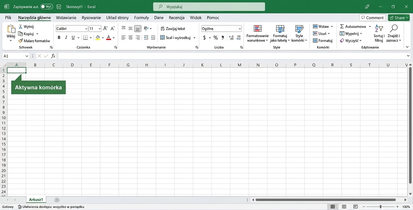 Plik Excel z zaznaczoną aktywną komórką